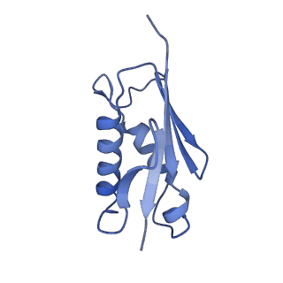 24652_7rr5_LU_v1-0
Structure of ribosomal complex bound with Rbg1/Tma46