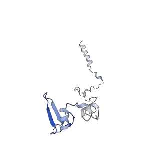 24652_7rr5_LW_v1-0
Structure of ribosomal complex bound with Rbg1/Tma46