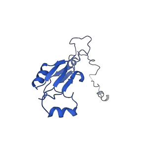 24652_7rr5_La_v1-0
Structure of ribosomal complex bound with Rbg1/Tma46