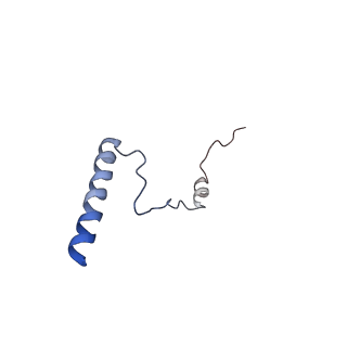 24652_7rr5_Lb_v1-0
Structure of ribosomal complex bound with Rbg1/Tma46
