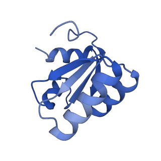 24652_7rr5_Lc_v1-0
Structure of ribosomal complex bound with Rbg1/Tma46