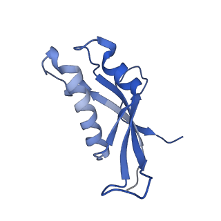 24652_7rr5_Ld_v1-0
Structure of ribosomal complex bound with Rbg1/Tma46