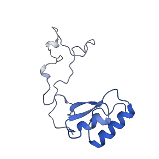 24652_7rr5_Le_v1-0
Structure of ribosomal complex bound with Rbg1/Tma46
