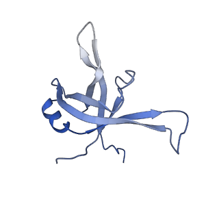 24652_7rr5_Lf_v1-0
Structure of ribosomal complex bound with Rbg1/Tma46
