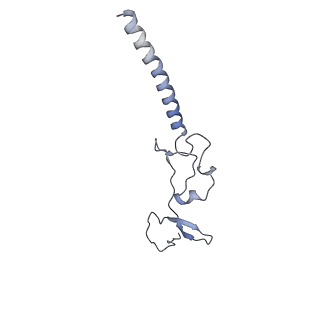 24652_7rr5_Lg_v1-0
Structure of ribosomal complex bound with Rbg1/Tma46