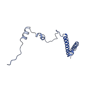 24652_7rr5_Lh_v1-0
Structure of ribosomal complex bound with Rbg1/Tma46