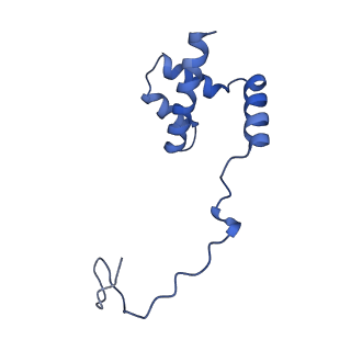 24652_7rr5_Li_v1-0
Structure of ribosomal complex bound with Rbg1/Tma46