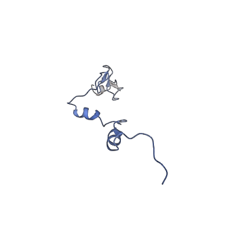 24652_7rr5_Lj_v1-0
Structure of ribosomal complex bound with Rbg1/Tma46