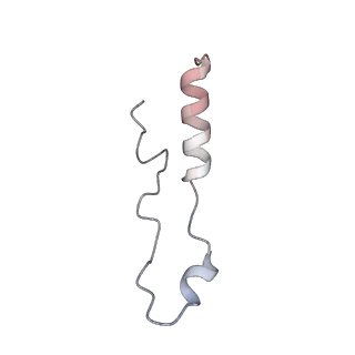 24652_7rr5_Ll_v1-0
Structure of ribosomal complex bound with Rbg1/Tma46