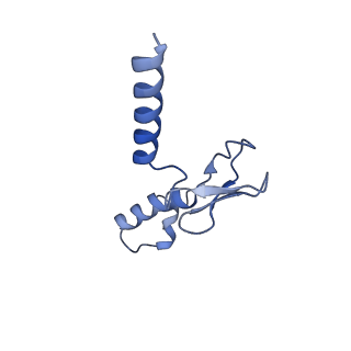 24652_7rr5_Lp_v1-0
Structure of ribosomal complex bound with Rbg1/Tma46