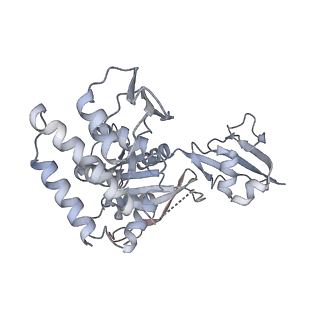 24652_7rr5_R_v1-0
Structure of ribosomal complex bound with Rbg1/Tma46