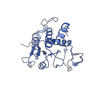 24652_7rr5_SA_v1-0
Structure of ribosomal complex bound with Rbg1/Tma46