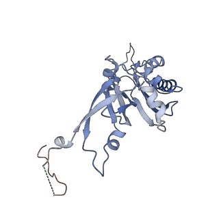 24652_7rr5_SB_v1-0
Structure of ribosomal complex bound with Rbg1/Tma46
