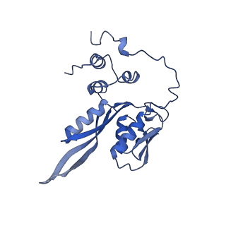 24652_7rr5_SC_v1-0
Structure of ribosomal complex bound with Rbg1/Tma46