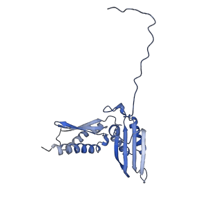 24652_7rr5_SD_v1-0
Structure of ribosomal complex bound with Rbg1/Tma46