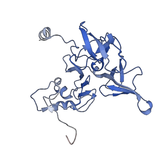 24652_7rr5_SE_v1-0
Structure of ribosomal complex bound with Rbg1/Tma46