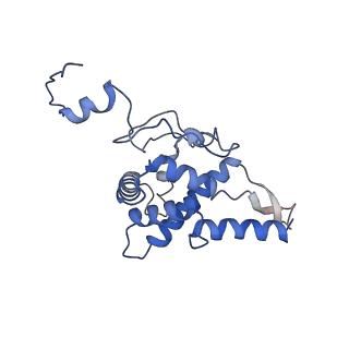 24652_7rr5_SF_v1-0
Structure of ribosomal complex bound with Rbg1/Tma46