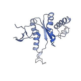 24652_7rr5_SH_v1-0
Structure of ribosomal complex bound with Rbg1/Tma46