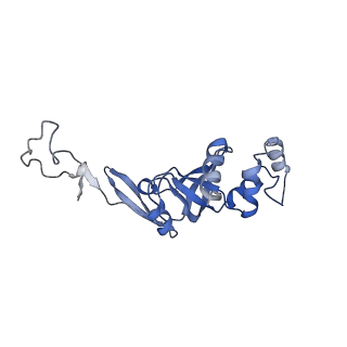 24652_7rr5_SI_v1-0
Structure of ribosomal complex bound with Rbg1/Tma46