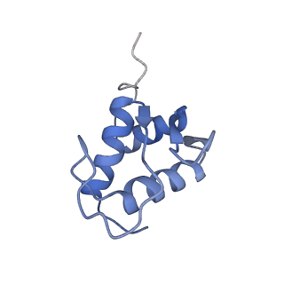 24652_7rr5_SK_v1-0
Structure of ribosomal complex bound with Rbg1/Tma46