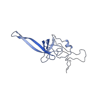 24652_7rr5_SL_v1-0
Structure of ribosomal complex bound with Rbg1/Tma46