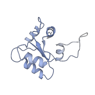 24652_7rr5_SM_v1-0
Structure of ribosomal complex bound with Rbg1/Tma46