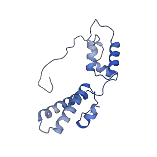 24652_7rr5_SN_v1-0
Structure of ribosomal complex bound with Rbg1/Tma46