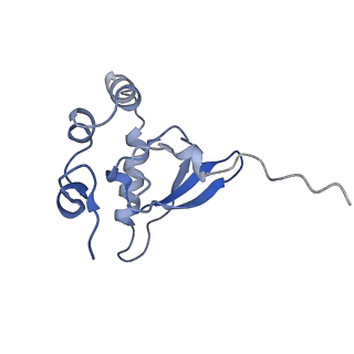 24652_7rr5_SP_v1-0
Structure of ribosomal complex bound with Rbg1/Tma46