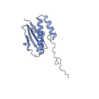 24652_7rr5_SQ_v1-0
Structure of ribosomal complex bound with Rbg1/Tma46