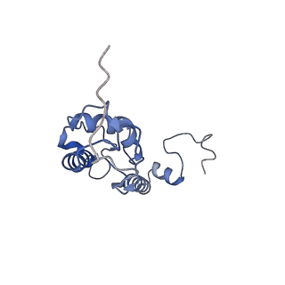 24652_7rr5_SS_v1-0
Structure of ribosomal complex bound with Rbg1/Tma46