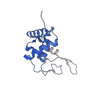 24652_7rr5_ST_v1-0
Structure of ribosomal complex bound with Rbg1/Tma46
