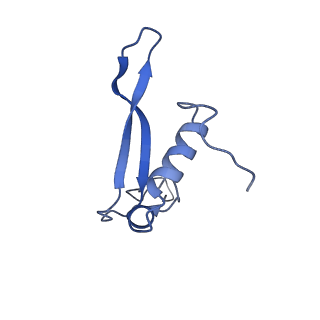 24652_7rr5_SV_v1-0
Structure of ribosomal complex bound with Rbg1/Tma46