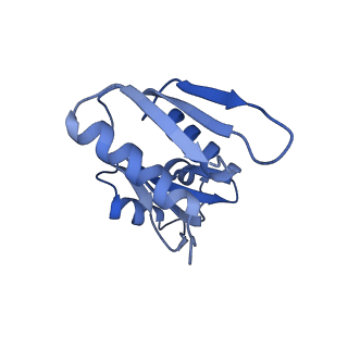 24652_7rr5_SW_v1-0
Structure of ribosomal complex bound with Rbg1/Tma46