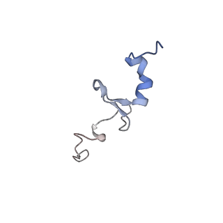 24652_7rr5_Sd_v1-0
Structure of ribosomal complex bound with Rbg1/Tma46