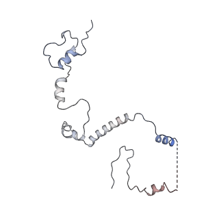 24652_7rr5_T_v1-0
Structure of ribosomal complex bound with Rbg1/Tma46