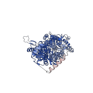 24653_7rr6_A_v1-0
Multidrug efflux pump subunit AcrB