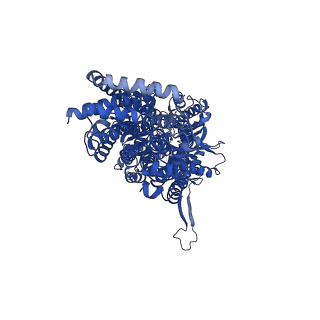 24653_7rr6_C_v1-0
Multidrug efflux pump subunit AcrB