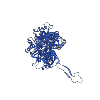 24655_7rr8_C_v1-0
Multidrug efflux pump subunit AcrB