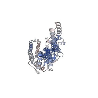24656_7rr9_A_v1-0
Cryo-EM Structure of Nanodisc reconstituted ABCD1 in nucleotide bound outward open conformation