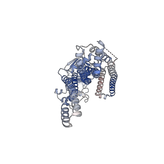24656_7rr9_B_v1-0
Cryo-EM Structure of Nanodisc reconstituted ABCD1 in nucleotide bound outward open conformation