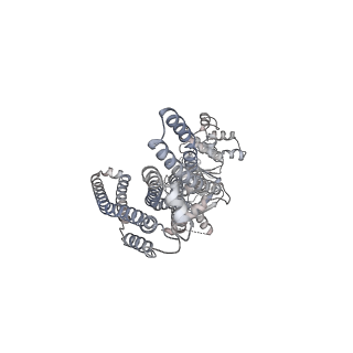 24657_7rra_A_v1-0
Cryo-EM Structure of Nanodisc reconstituted ABCD1 in inward open conformation