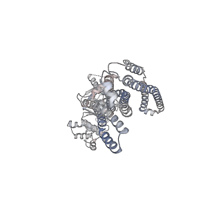 24657_7rra_B_v1-0
Cryo-EM Structure of Nanodisc reconstituted ABCD1 in inward open conformation