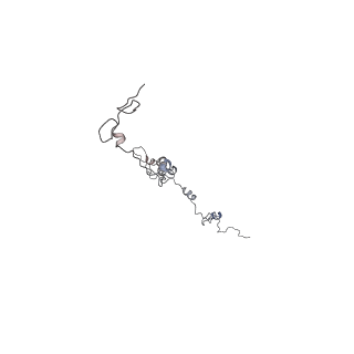 24664_7rro_8_v1-2
Structure of the 48-nm repeat doublet microtubule from bovine tracheal cilia