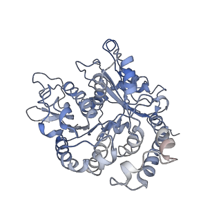 24664_7rro_AE_v1-2
Structure of the 48-nm repeat doublet microtubule from bovine tracheal cilia