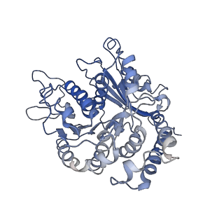 24664_7rro_AI_v1-2
Structure of the 48-nm repeat doublet microtubule from bovine tracheal cilia