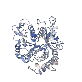 24664_7rro_BK_v1-2
Structure of the 48-nm repeat doublet microtubule from bovine tracheal cilia