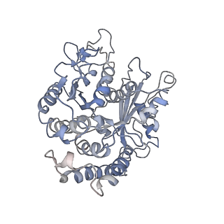 24664_7rro_CI_v1-2
Structure of the 48-nm repeat doublet microtubule from bovine tracheal cilia
