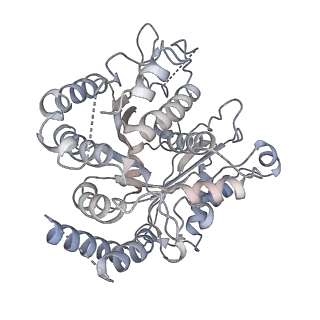 24664_7rro_DA_v1-2
Structure of the 48-nm repeat doublet microtubule from bovine tracheal cilia
