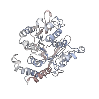 24664_7rro_DB_v1-2
Structure of the 48-nm repeat doublet microtubule from bovine tracheal cilia