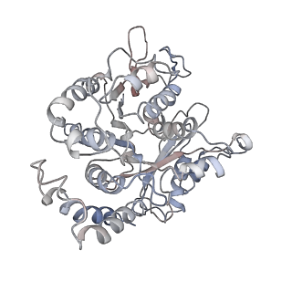 24664_7rro_DJ_v1-2
Structure of the 48-nm repeat doublet microtubule from bovine tracheal cilia